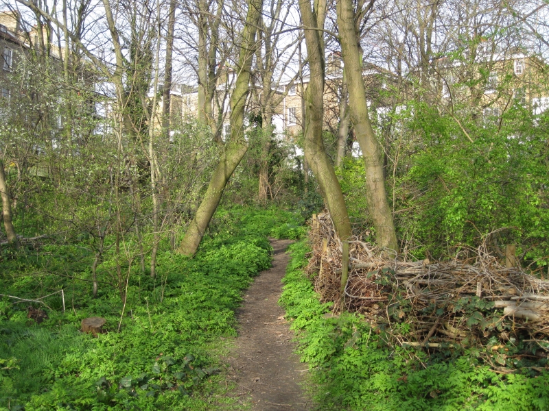 Barnsbury Wood